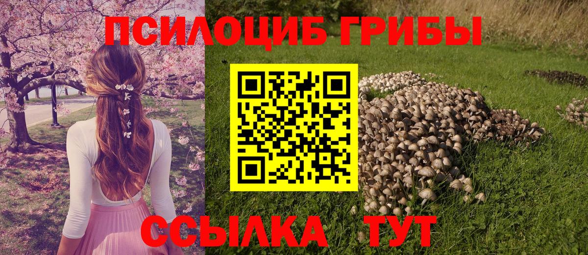 Псилоцибиновые грибы ЛСД Анжеро-Судженск